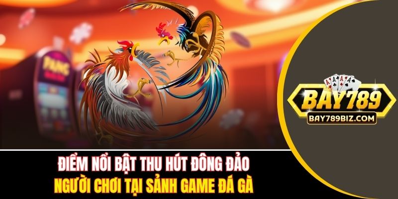 Điểm nổi bật thu hút đông đảo người chơi tại sảnh game đá gà