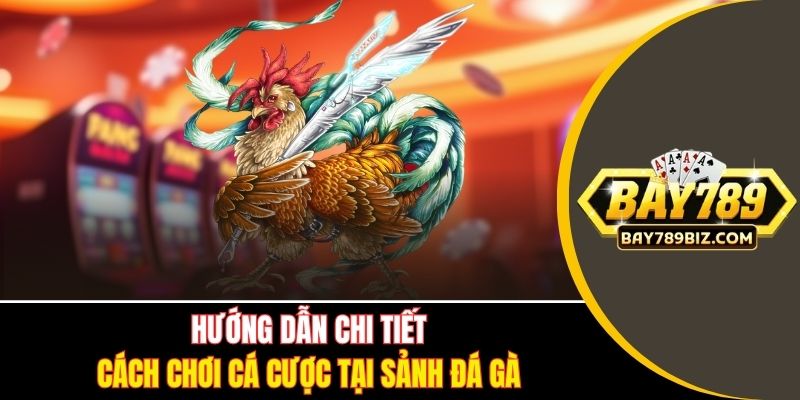 Hướng dẫn chi tiết cách chơi cá cược tại sảnh đá gà